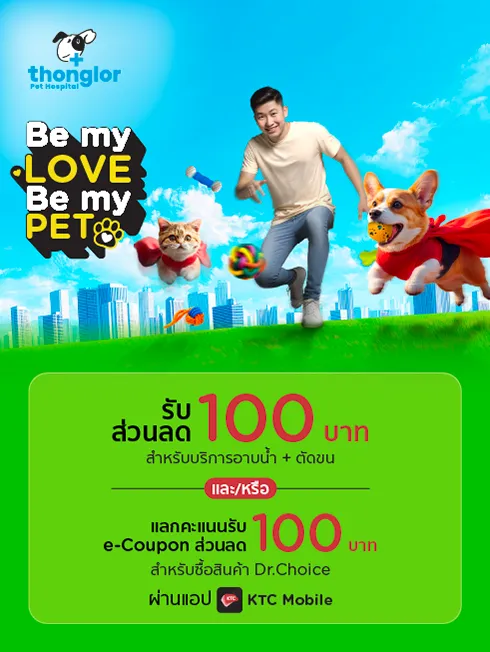 โปรโมชั่นพิเศษ ที่ โรงพยาบาลสัตว์ทองหล่อ